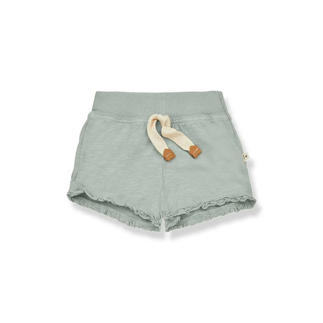 1  in the family Natalia Shorts - Pool