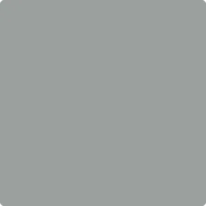 1600: Gray Cardigan by Benjamin Moore
