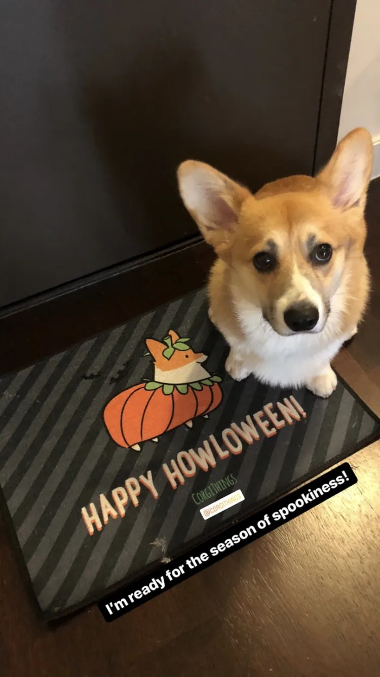 "Corgi Howloween Pumpkin" Floor Mat | Halloween Collection